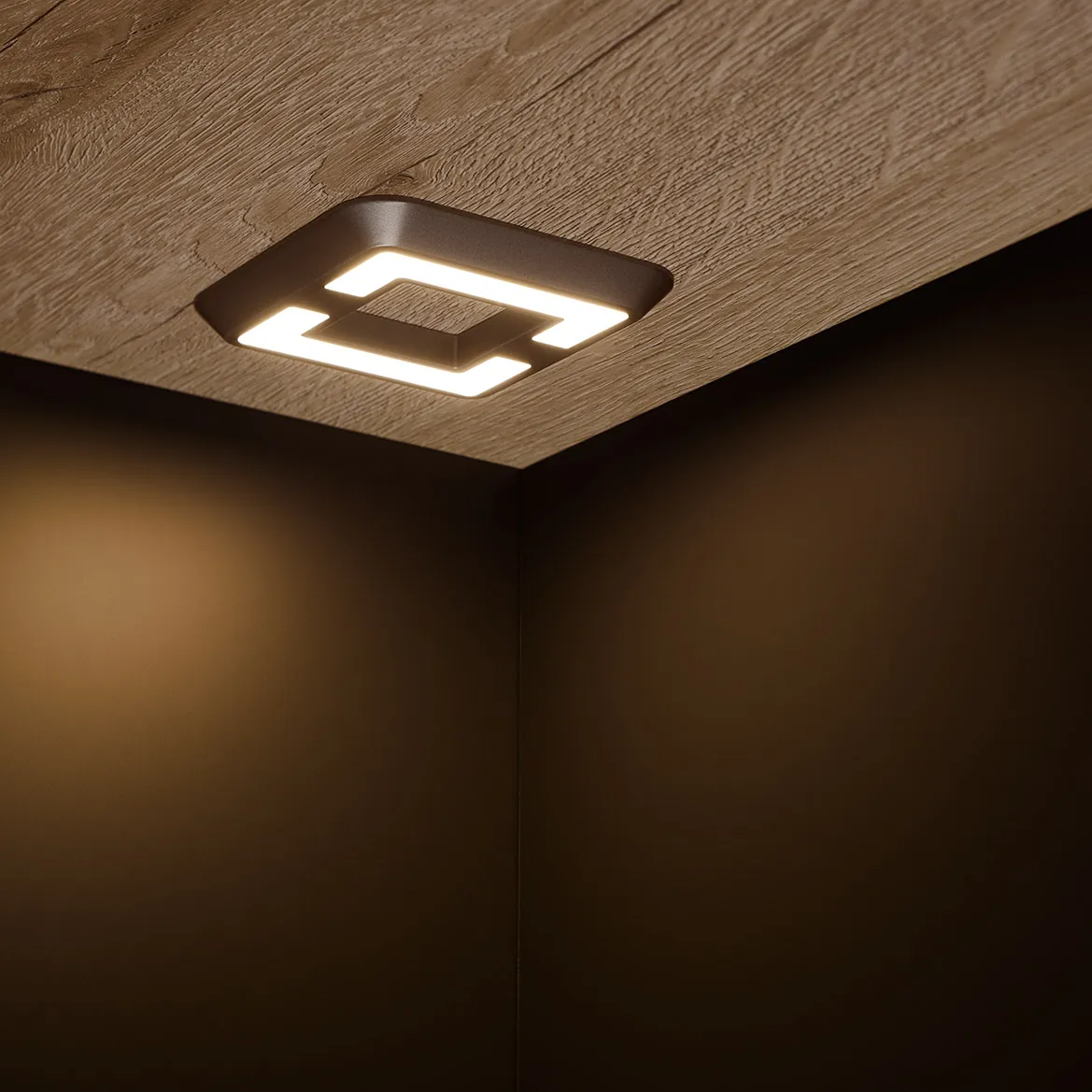 Spotlight Cube